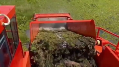 Aquatic Weed Harvester for river waterweed cleaning